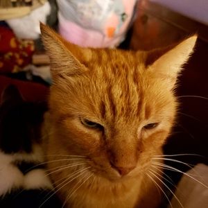 Meet your Posher, Tammy